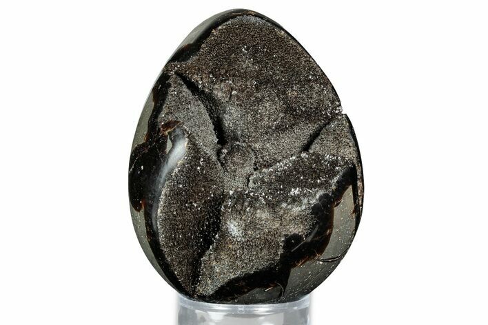 Septarian Dragon Egg Geode - Sparkly Black Crystals #336447